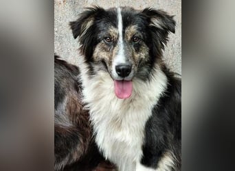 MAX der bezaubernde Bub