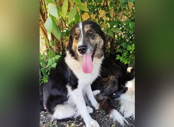 MAX der bezaubernde Bub