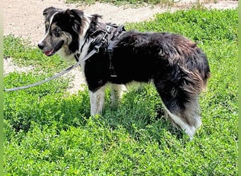 MAX der bezaubernde Bub