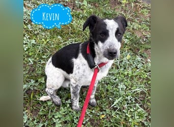 Kevin wie aus dem Film “Kevin alleine Zuhause”