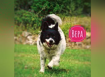Bepa eine Knutschkugel