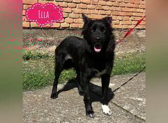 Ella will lieben und geliebt werden