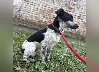 Kevin wie aus dem Film “Kevin alleine Zuhause”