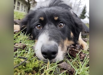 Charles ein vitaler Kerlchen