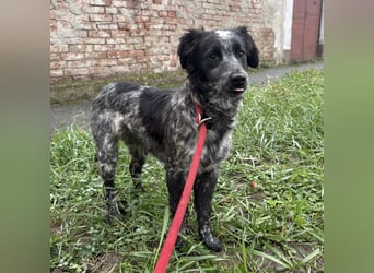 Kody ein richtiger Schatz