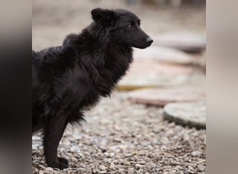 Edita eine zerbrochene Seele