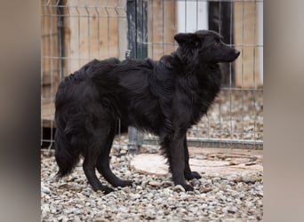 Edita eine zerbrochene Seele