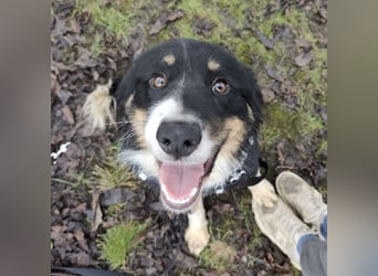 Charles ein vitaler Kerlchen