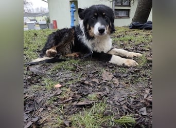 Charles ein vitaler Kerlchen