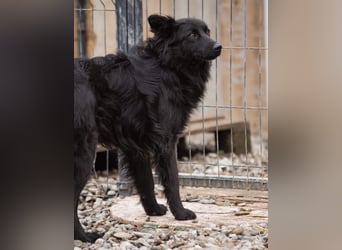 Edita eine zerbrochene Seele