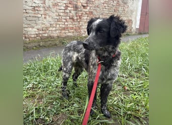 Kody ein richtiger Schatz