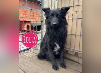 Edita eine zerbrochene Seele