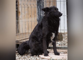 Edita eine zerbrochene Seele