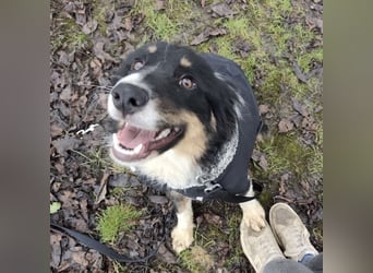 Charles ein vitaler Kerlchen