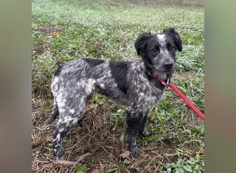 Kody ein richtiger Schatz