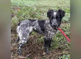 Kody ein richtiger Schatz