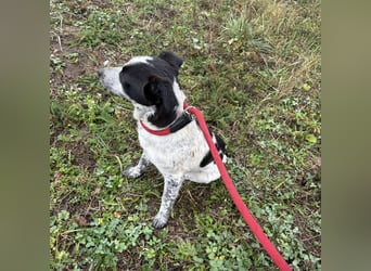 Kevin wie aus dem Film “Kevin alleine Zuhause”