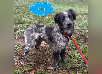 Kody ein richtiger Schatz