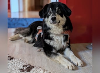 Leeloo ein sanftes Wesen