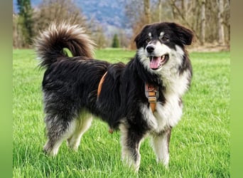 Leeloo ein sanftes Wesen