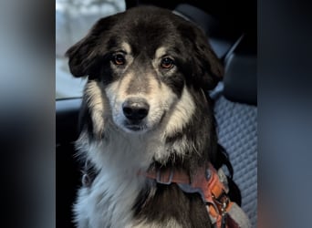 Leeloo ein sanftes Wesen