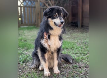 Leeloo ein sanftes Wesen