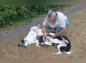 Seb: spielen, lernen, schmusen