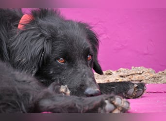 Möchtest du Rockie zeigen, dass sein Warten nicht umsonst war?