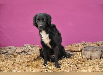 Möchtest du Rockie zeigen, dass sein Warten nicht umsonst war?