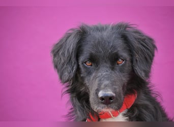 Möchtest du Rockie zeigen, dass sein Warten nicht umsonst war?