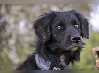 Möchtest du Rockie zeigen, dass sein Warten nicht umsonst war?