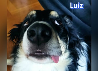 Vermittlungshilfe Luiz; Leipzig