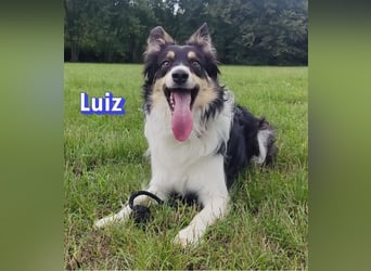 Vermittlungshilfe Luiz; Leipzig