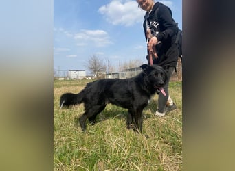 Avarka stürzt sich ins Abenteuer mit dir