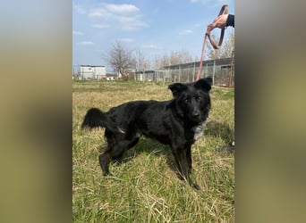 Avarka stürzt sich ins Abenteuer mit dir