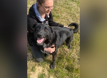 Avarka stürzt sich ins Abenteuer mit dir