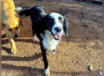 Carlo - ist reserviert