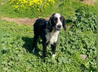 Carlo - ist reserviert