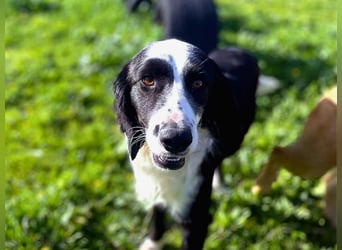 Carlo - ist reserviert