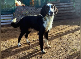 Carlo - ist reserviert