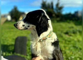 Carlo - ist reserviert