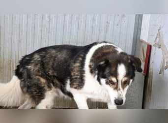 Sam - litt Hunger und Kälte