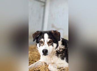 Sam - litt Hunger und Kälte