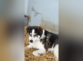 Sam - litt Hunger und Kälte