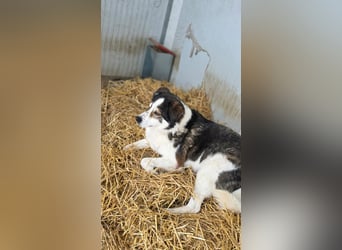 Sam - litt Hunger und Kälte