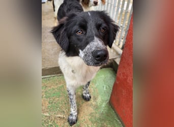 Teresa: gemeinsam schaffen wir es