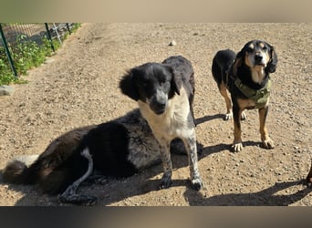 Teresa: gemeinsam schaffen wir es