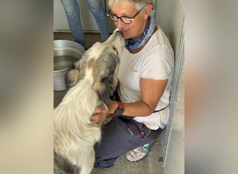 Davide: ihn muss man gern haben