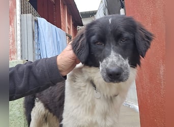 Teresa: gemeinsam schaffen wir es