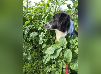 Teresa: gemeinsam schaffen wir es